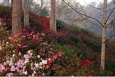 《魔界战记6：完整版》欧美版6月28日发售 角色预告发布